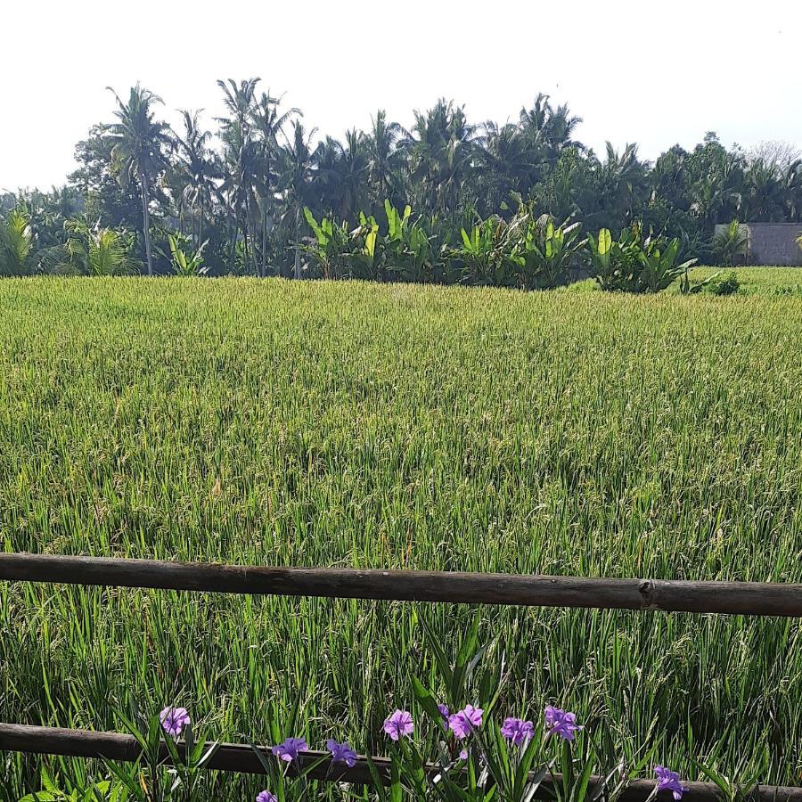 Pb Pondok Gandalangu Garden House Bali อูบุด ภายนอก รูปภาพ